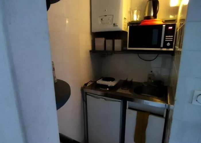 Le Cosy Dijonnais - Disponible Apres Le 1er Mai アパート ディジョン